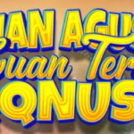 QQNUSA : Agen Judi Slot RTP Live Termegah Indonesia